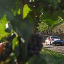 ADAC Rallye Deutschland, Toyota Gazoo Racing WRT, Kris Meeke