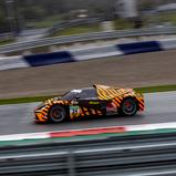 ADAC GT4 Germany, Red Bull Ring, True Racing, Reinhard Kofler, Florian Janits