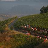 ADAC Rallye Deutschland