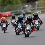Leon Kehl (Klasse Polini), ADAC Pocket Bike Cup, Cheb