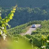 ADAC Rallye Deutschland
