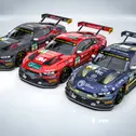 Das Haupt Racing Team hat sich für eine prägnante, cleane Optik entschieden, die einen hohen Wiedererkennungswert und große Individualität für die drei Fahrerduos bietet (Foto: Haupt Racing Team)