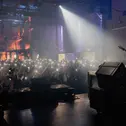 Das Myle Festival begeistert mit einem neuartigen Eventkonzept (Foto: Myle Festival)