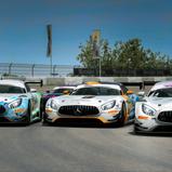 ADAC GT Masters eSports Challenge, Nürburgring