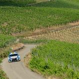 #7 Dennis Rostek (DEU) / Dennis Zenz (DEU), Škoda Fabia R5 Evo