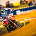ADAC MX Masters, Holzgerlingen, Rene Hofer ( KTM / Österreich )