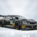 Ford Mustang GT3 #2 mit Dennis Fetzer und Jonathan Cecotto (Foto: HRT Ford Performance)