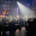 Das Myle Festival begeistert mit einem neuartigen Eventkonzept (Foto: Myle Festival)