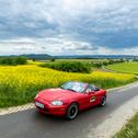 Von der Messe in Friedrichshafen aus ging es bei der ADAC Youngtimer Tour Bodensee 2025 auf rund 180 Kilometern durchs malerische Linzgau