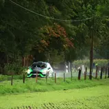 #14  R. Sulzinger / L. Kiefer / Ford Fiesta Rally4