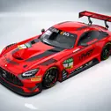 Internationale Fahrerpaarung: Ralf Aron (24) aus Estland und der Schweizer Alain Valente (26) teilen sich das Cockpit (Foto: HRT)