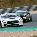 Der Mercedes-AMG GT4 vom Drago Racing Team ZVO