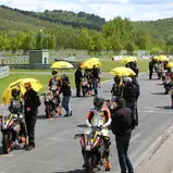 ADAC Junior Cup powered by KTM, Grid