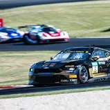 #2 Dennis Fetzer (DEU) / Jonathan Cecotto (VEN) / Haupt Racing Team / Ford Mustang GT3