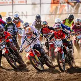 Lion Florian (239) errang zwei Startsiege im ADAC MX Youngster Cup