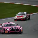 Markantes Pink beim Mercedes-AMG von BWT Mücke Motorsport