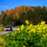 #69 / Toyota Gazoo Racing WRT / Rovanperä, Kalle / Halttunen, Jonne / Toyota Gr Yaris Rally1 / Central European Rally 2023