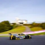 #11 / Rutronik Racing by Tece / Audi R8 LMS / Elia Erhart / Mattia Drudi