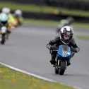 ADAC Mini Bike Cup, ADAC Pocket Bike Cup, Irmscher