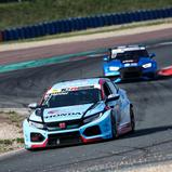 ADAC TCR Germany, Profi-Car Team Honda ADAC Sachsen, Mike Halder