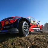ADAC Rallye Deutschland, Hyundai Shell Mobis World Rally Team, Thierry Neuville