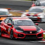 #55 / Marcel Fugel / Honda ADAC Sachsen / Honda Civic FK7 TCR