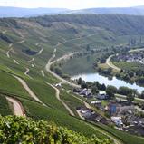 ADAC Rallye Deutschland