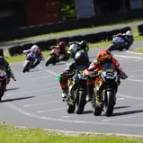 #52 / Ben Warzecha / Ohvale MotoMini-160 / ADAC Mini Bike Cup, Wittgenborn