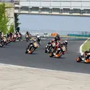 ADAC Junior Cup powered by KTM, Hungaroring, Rennen