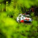  Die Prüfungen der Central European Rally (26.-29. Oktober) bieten einen spektakulären Mix anspruchsvoller Asphaltstrecken