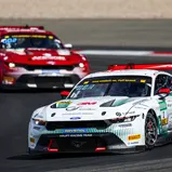 Die beiden Mustangs des Haupt Racing Teams lieferten sich mehrere Duelle