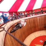 Stuntshows und Autogrammstunden locken zum Red-Bull-Rennzirkus