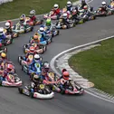 ADAC Kart Masters, Hahn