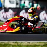 David Trefilov (Kart)