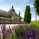 Dom St. Salvator zu Fulda, Foto: Fulda Touristik