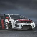 ADAC TCR Germany, Niedertscheider Motorsport, Peugeot