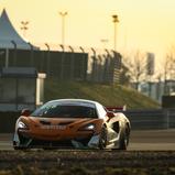 ADAC GT4 Germany, Oschersleben, Dörr Motorsport, Fred Martin-Dye, Phil Dörr