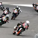 ADAC Motorsport, ADAC Junior Cup powered by KTM