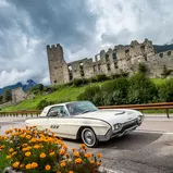 Der Ford Thunderbird 2-Door Hardtop Coupé