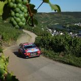 ADAC Rallye Deutschland, Hyundai Shell Mobis World Rally Team, Dani Sordo 