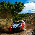 Bei der Central European Rally hofft Hyundai-Pilot Neuville auf viel Unterstützung unter anderem aus seiner belgischen Heimat