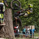 Jonathan Heidel (Trial)