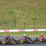 #222 / Carlos Nees / Nees Racing / OK-N Junior, ADAC Kart Masters Mülsen