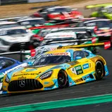 Die Mercedes-AMG Teams HRT, Landgraf und Winward vertreten die Marke mit dem Stern