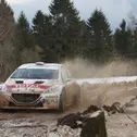 Sieganwärter 2: Christian Riedemann im Peugeot 208 T16 R5