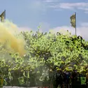 Gute Stimmung auf den VR46-Fantribünen bei der MotoGP am Sachsenring 2019