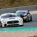 Der Mercedes-AMG GT4 vom Drago Racing Team ZVO