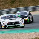 Der Mercedes-AMG GT4 vom Drago Racing Team ZVO