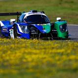 Ralf und David Schumacher, US Racing-Ligier