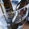 Den Vertrieb von Schumacher Wines in Deutschland übernimmt der Badische Winzerkeller aus Breisach am Rhein.